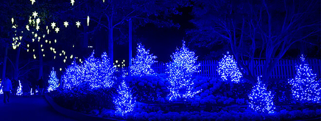 Christmas lights in Scotland at Busch Gardens Christmas event in Williamsburg, VA