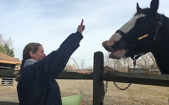 Zoological Team Member interacting with our Clydesdale horse