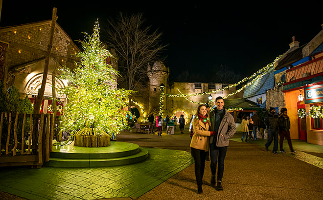 Douglas OFir Tree Lot in Ireland during Christmas Town at Busch Gardens Williamsburg