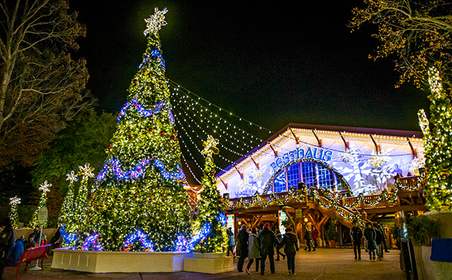 Enjoy 10 million lights in the world's most beautiful theme park!