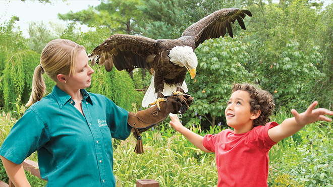 Animal Encounters at Busch Gardens Williamsburg