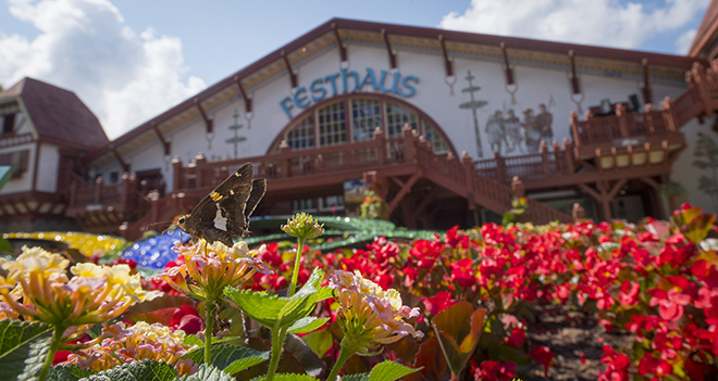 Become a Member at Busch Gardens Williamsburg