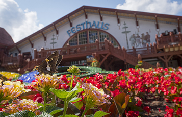 Become a Member at Busch Gardens Williamsburg