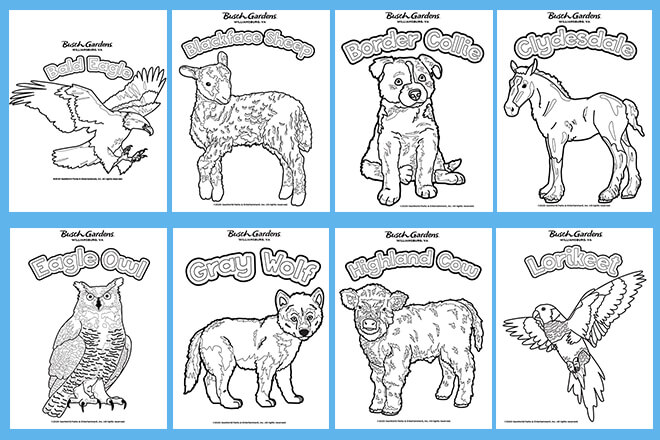 Animal Coloring Page Preview