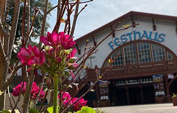 Find out what it takes to get the Most Beautiful Theme Park in the World ready for opening day!