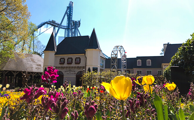 Busch Gardens Williamsburg Virtual Conferencing Background