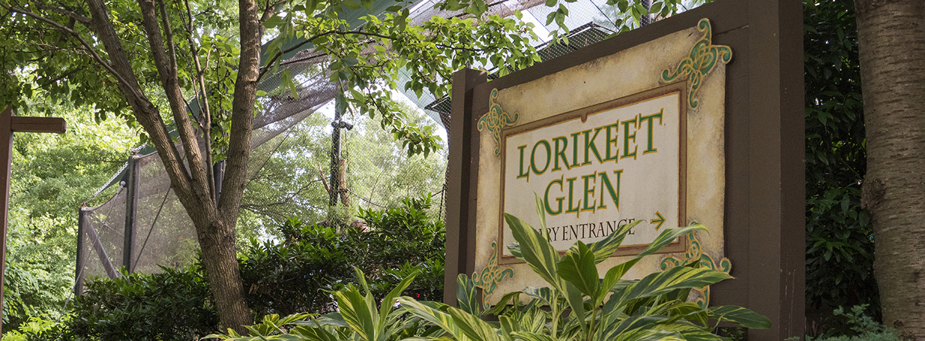 Come to Lorikeet Glen to see and hear our birds!