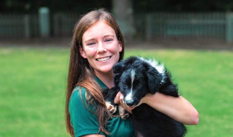 Visit our Border Collies at Highland Stables!