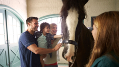 Family meeting a Clydesdale horse during a tour