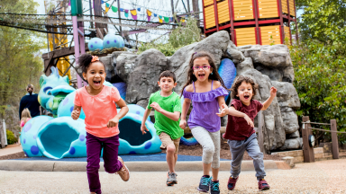 Busch Gardens Preschool Card