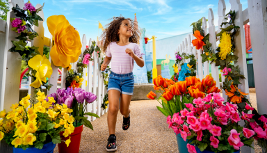 Flower Maze at Busch Gardens Williamsburg Sesame Street® Kids Weekends. 