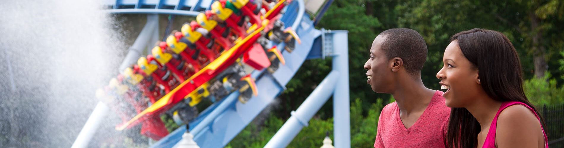 Find answers to some of our most commonly asked questions