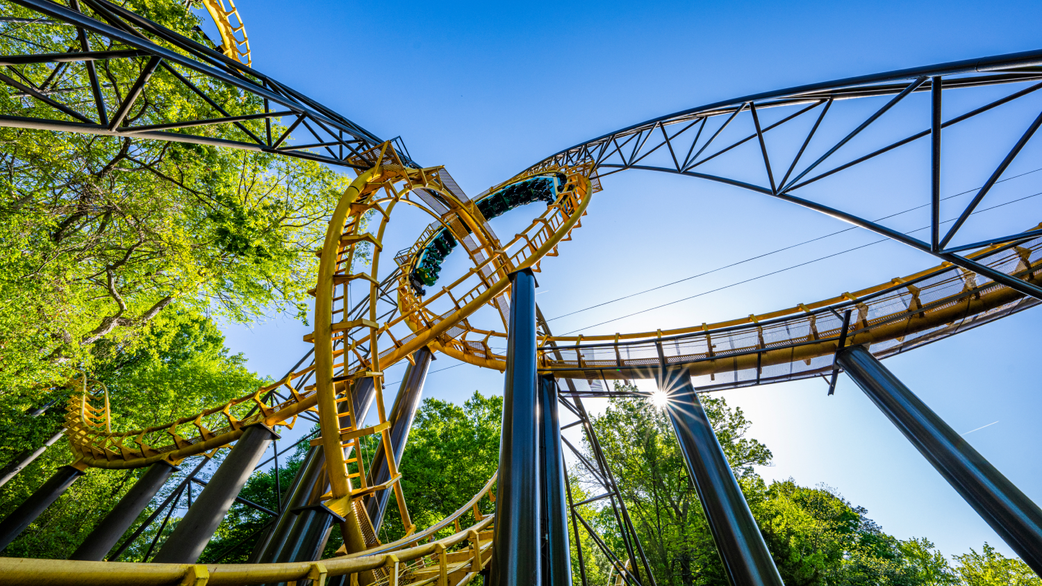 The world’s first interlocking loop coaster Loch Ness Monster at Busch Gardens Williamsburg.
