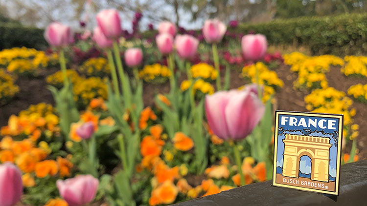 France Pin - Part of the Busch Gardens Pin Trading Program