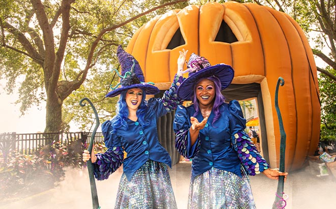 SeaWorld Orlando Halloween Spooktacular Witches