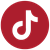 TikTok Icon
