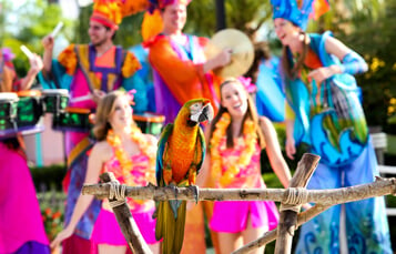 Event Venues at Busch Gardens Tampa Bay
